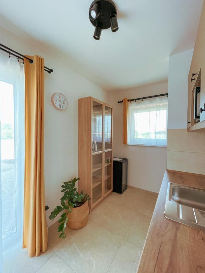 Apartman Vinarstvi 1838 Διαμέρισμα Jevisovka Εξωτερικό φωτογραφία