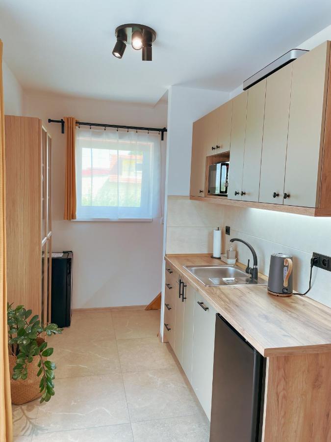 Apartman Vinarstvi 1838 Διαμέρισμα Jevisovka Εξωτερικό φωτογραφία